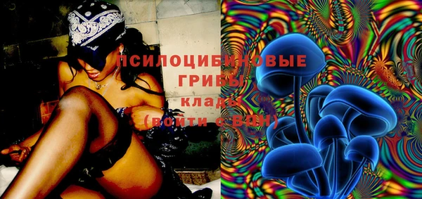 скорость Алексеевка