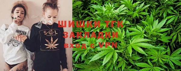 прущий лед Алзамай