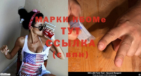 прущий лед Алзамай