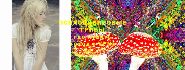 наркотики Новозыбков