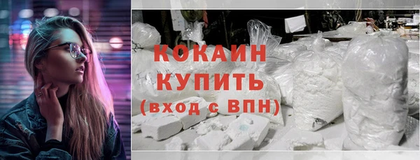 прущий лед Алзамай