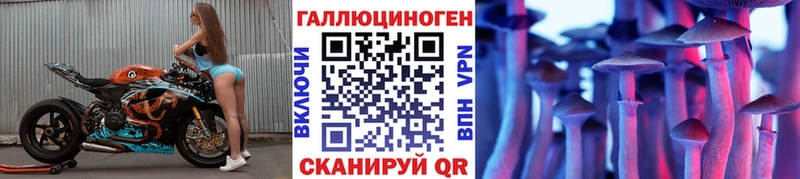 Галлюциногенные грибы Psilocybe  mega зеркало  Анапа 